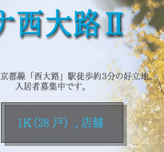 中西電建 メディナ西大路U 概要