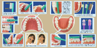 �̎��J�[�h�̎ʐ^