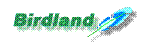 Birdland.GIF