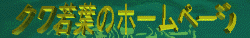 Logo-3.gif