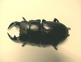 keihoku411.jpg