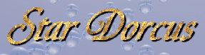 myweb1003001.jpg