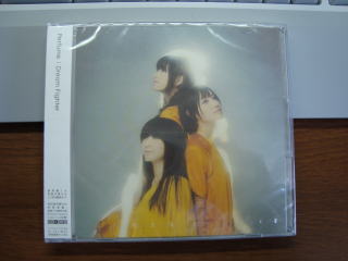 Dream Fighter^Perfume