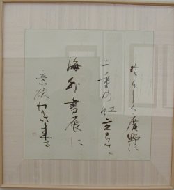 43-shimada1.jpg (10117 �o�C�g)