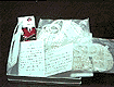 from  Toshiya & Sachiyo