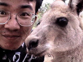 Photo in Australia