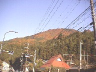 gt̔bR