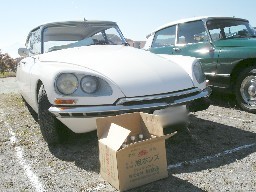 �����A�c�r�l�ł��B�����āA�䂪�Ƃ����p�̈��|���Y���H�H